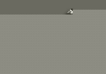 wholesale dunk sb shoes online from china