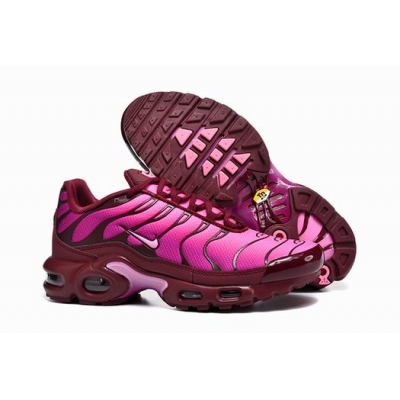 china cheap Nike Air Max Plus TN  shoes
